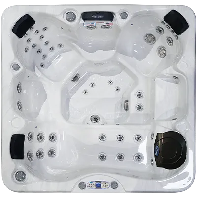 Avalon EC-849L hot tubs for sale in Tallahassee