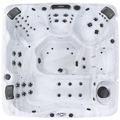 Avalon EC-867L hot tubs for sale in Tallahassee