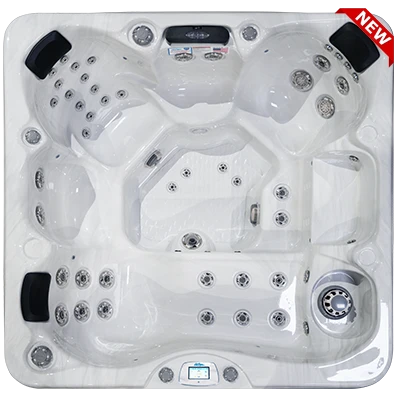 Avalon-X EC-849LX hot tubs for sale in Tallahassee