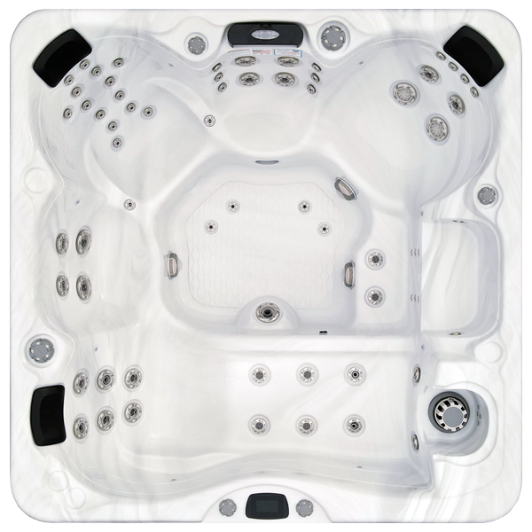 Avalon-X EC-867LX hot tubs for sale in Tallahassee